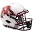 Minnesota Golden Gophers Speed Football Helmet <B>Chrome Decal</B>