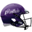 Northern Iowa Panthers NCAA Mini Speed Football Helmet