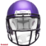Minnesota Vikings Speed Football Helmet <I>Satin Purple</I>